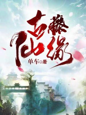 古藤仙缘txt百度