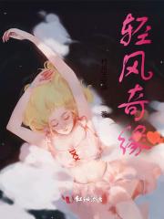 轻风奇遇电视剧