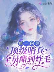 哨兵和向导的推荐