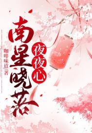 南星晓落夜夜心 咖啡味道