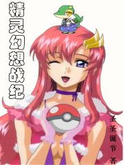 宝可梦幻想战纪