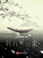我打北边来