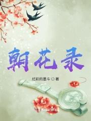 朝花录