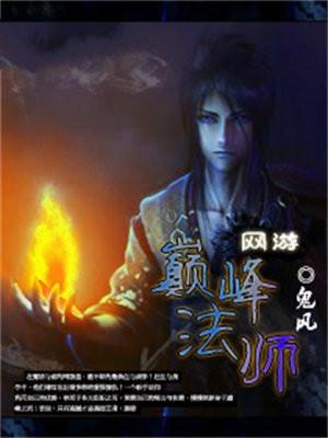 网游之巅峰法师