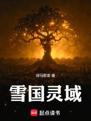 雪国灵域