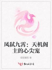 凤弑九霄：天机阁主的心尖宠