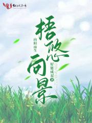 梧悠向景