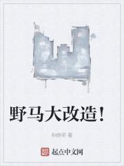 野马大改造！