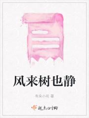风来树也静
