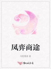 凤弈商途