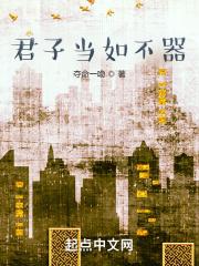 君子当如不器