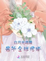 白月光逃婚，裴爷全球搜捕