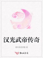 汉光武帝传奇