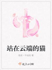 站在云端的猫
