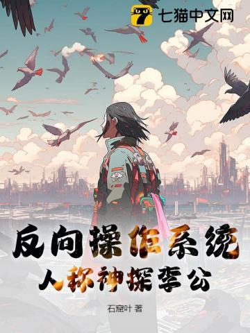 反向操作系统，人称神探李公