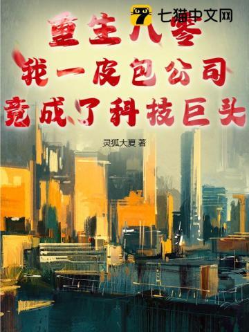 重生八零，我一皮包公司竟成了科技巨头