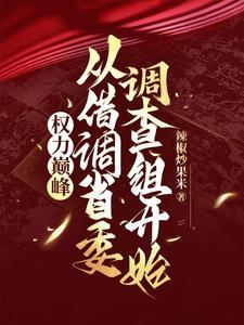 权力巅峰：从借调省委调查组开始