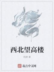西北望高楼