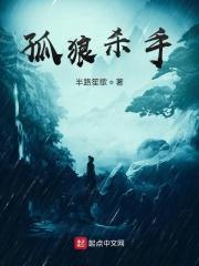孤狼杀手