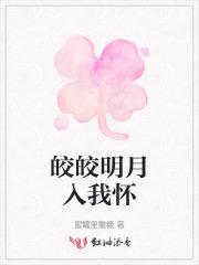 皎皎明月入我怀