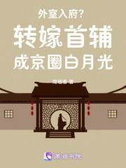 外室入府？转嫁首辅成京圈白月光