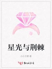 星光与荆棘