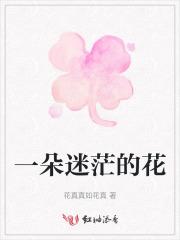 一朵迷茫的花