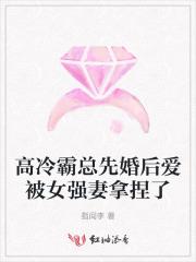高冷霸总先婚后爱被女强妻拿捏了