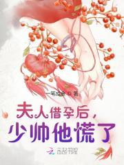 夫人借孕后，少帅他慌了
