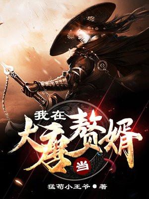 我在大唐当赘婿