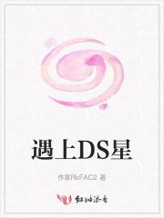 遇上DS星