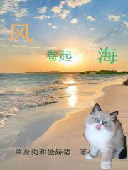 猫的梦里风卷起海