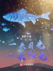 一米月光，一米阳光
