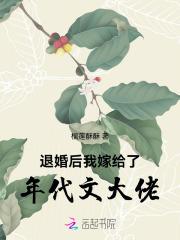 退婚后我嫁给了年代文大佬