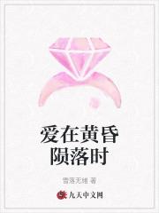 爱在黄昏陨落时