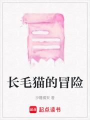 长毛猫的冒险