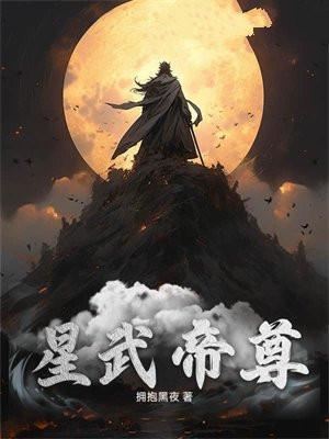 星武帝尊