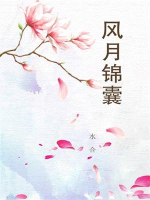 风月锦囊