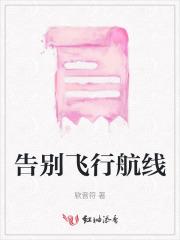 告别飞行航线