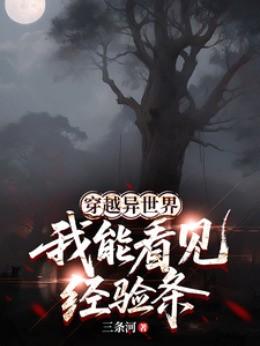 穿越异世界，我能看见经验条