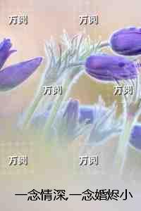 一念情深,一念婚烬：后续+完结