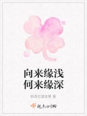 向来缘浅何来缘深