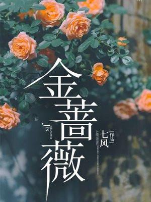 金蔷薇