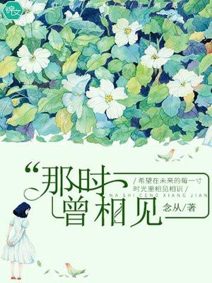 那时曾相见