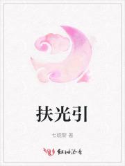 扶光引