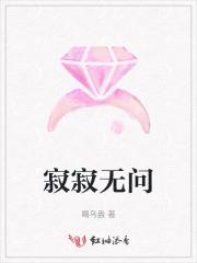 寂寂无问