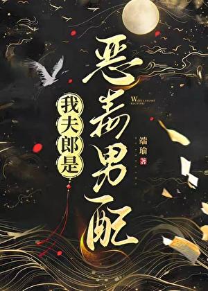 我夫郎是恶毒男配